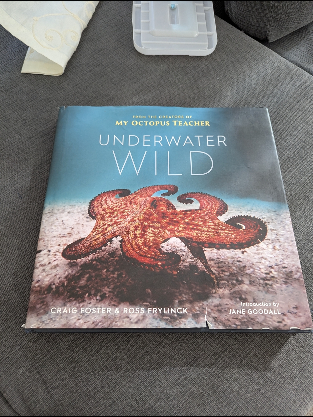Underwater Wild Hardcover Book - Teal & Orange Cover - Picture 6 of 6